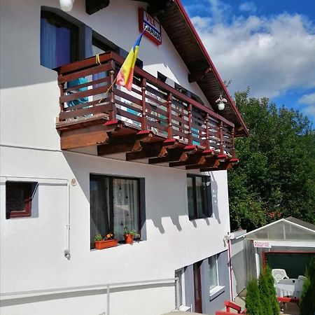 Vila Darian Βίλα Buşteni Εξωτερικό φωτογραφία