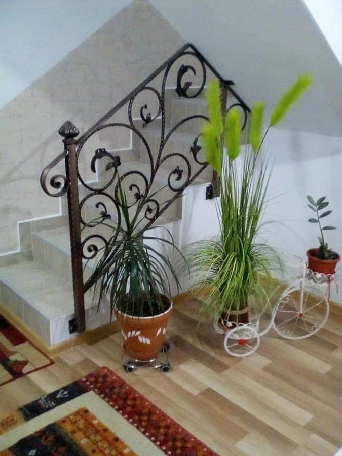 Vila Darian Βίλα Buşteni Εξωτερικό φωτογραφία