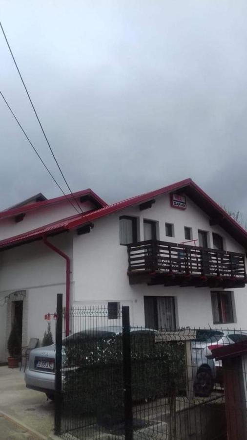 Vila Darian Βίλα Buşteni Εξωτερικό φωτογραφία