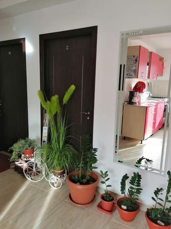 Vila Darian Βίλα Buşteni Εξωτερικό φωτογραφία