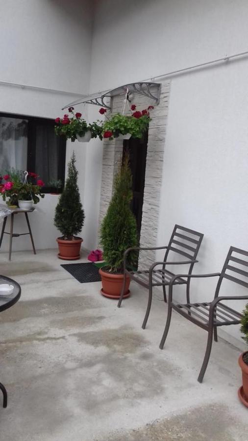 Vila Darian Βίλα Buşteni Εξωτερικό φωτογραφία