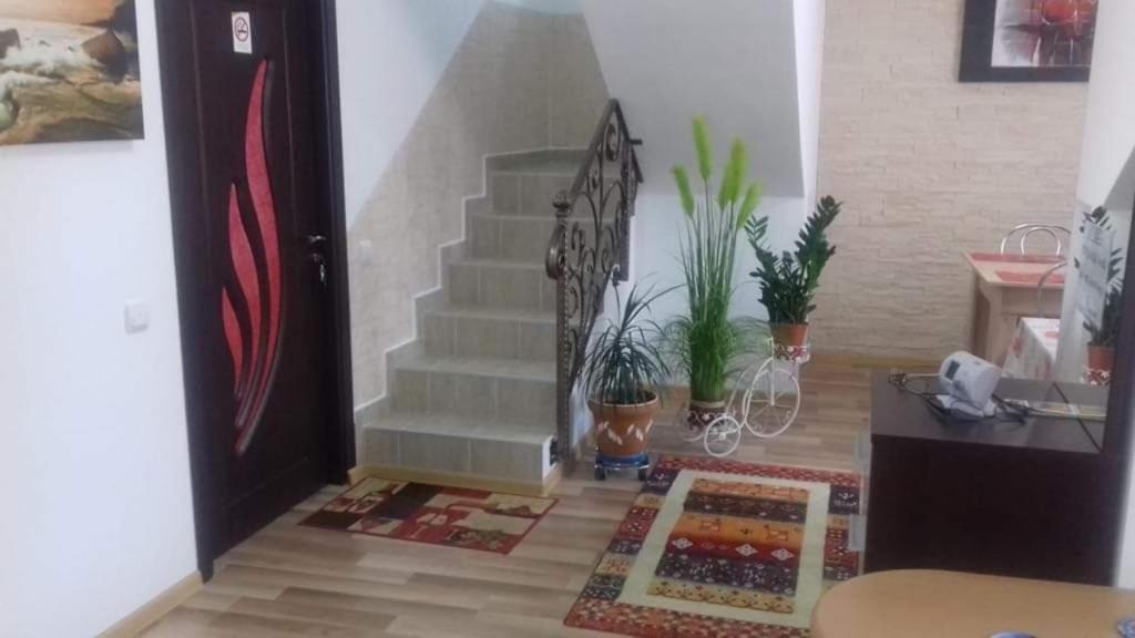 Vila Darian Βίλα Buşteni Εξωτερικό φωτογραφία
