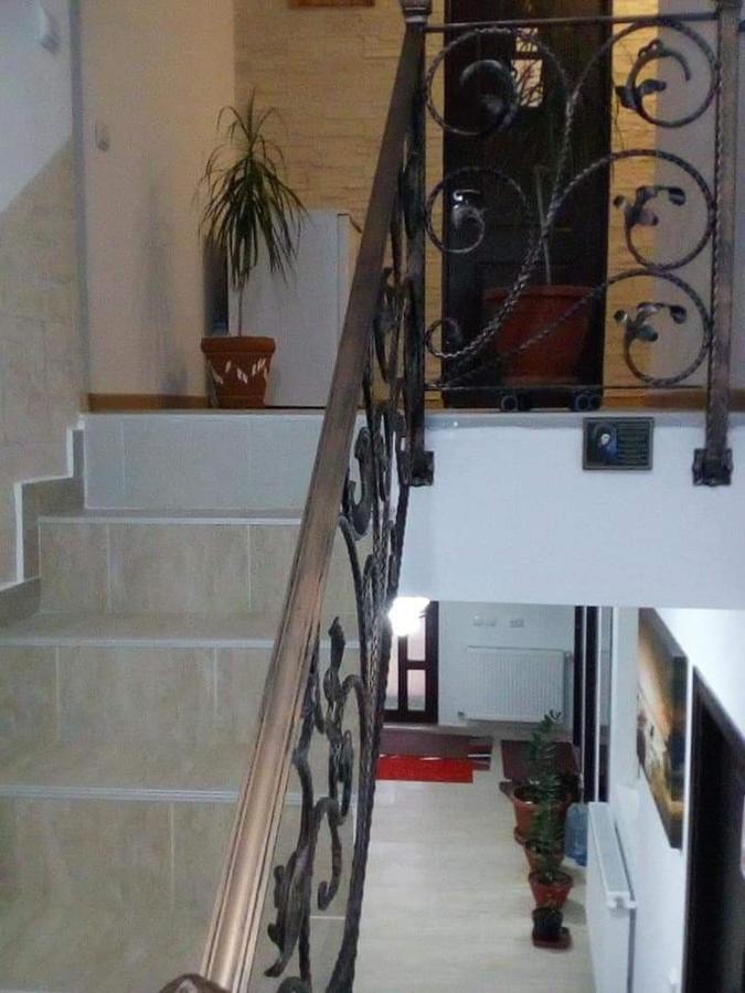Vila Darian Βίλα Buşteni Εξωτερικό φωτογραφία