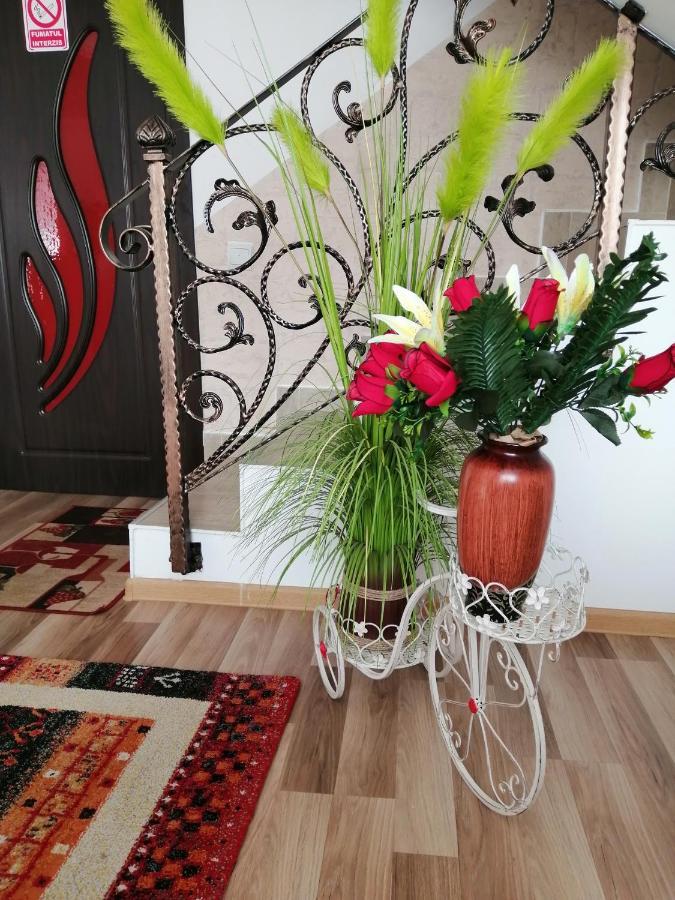 Vila Darian Βίλα Buşteni Εξωτερικό φωτογραφία
