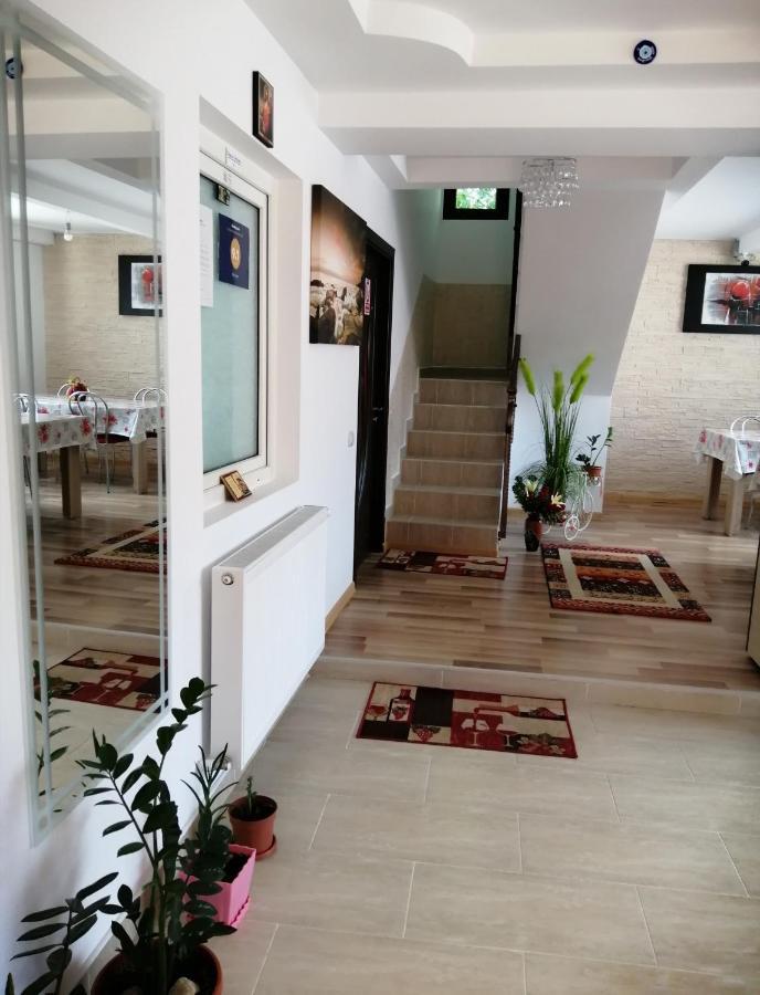 Vila Darian Βίλα Buşteni Εξωτερικό φωτογραφία