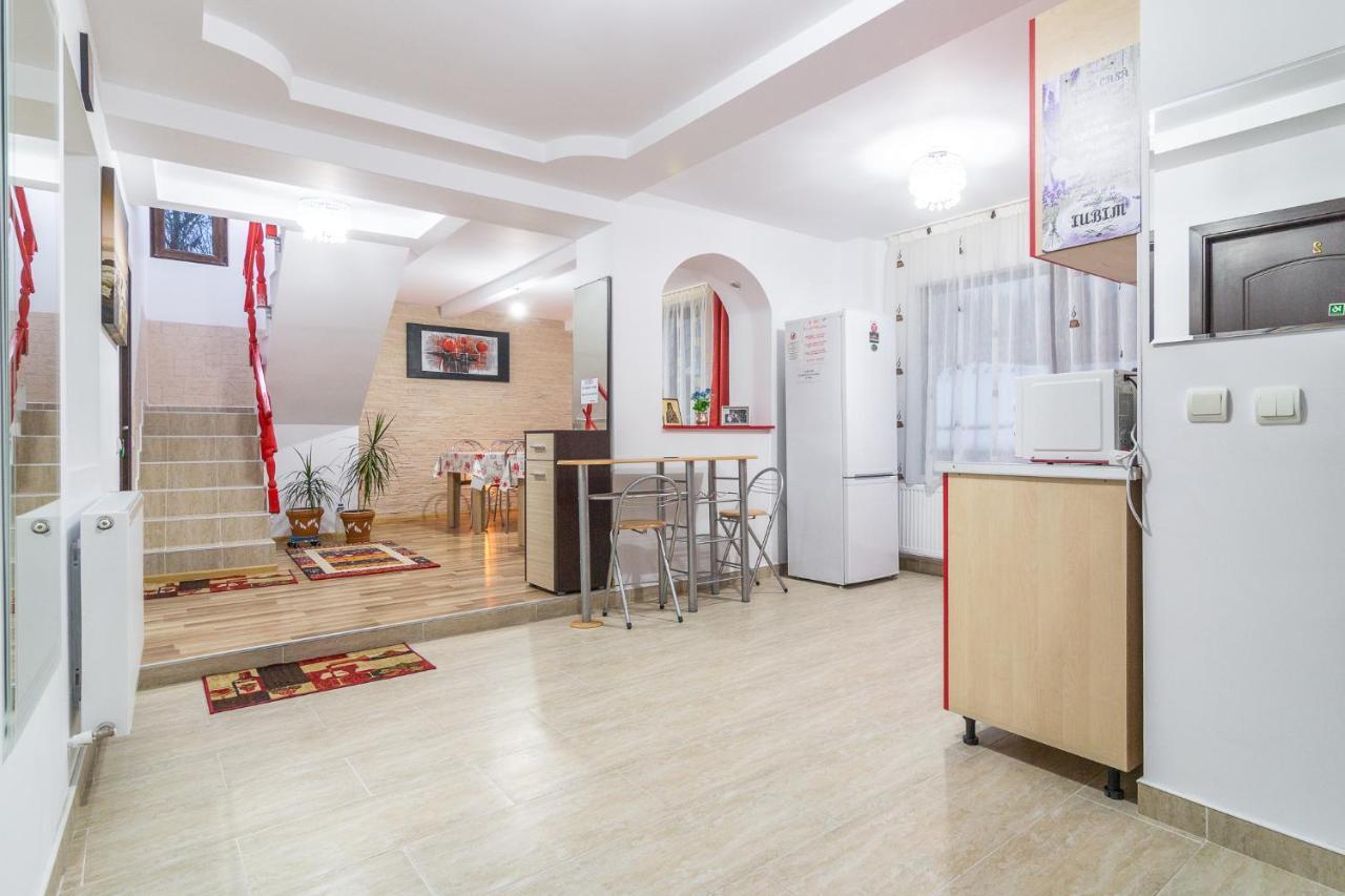 Vila Darian Βίλα Buşteni Εξωτερικό φωτογραφία