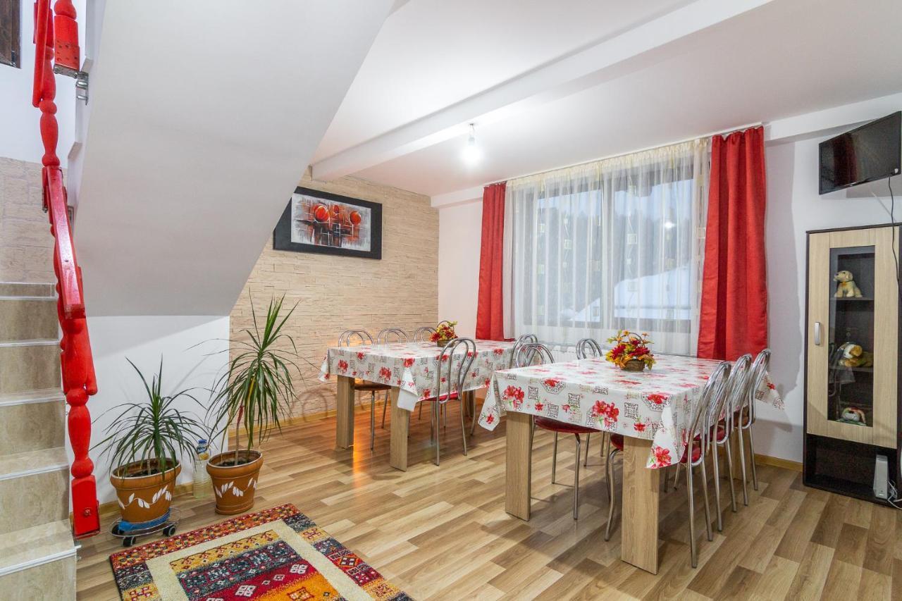 Vila Darian Βίλα Buşteni Εξωτερικό φωτογραφία